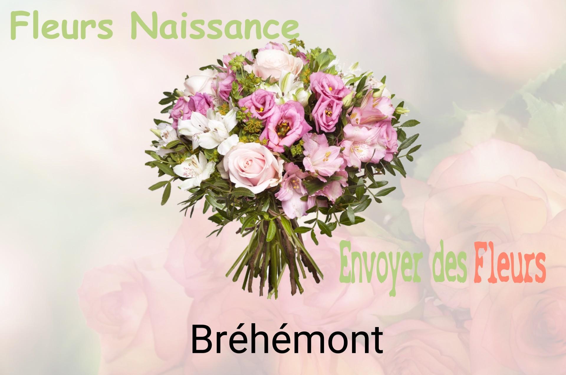 Bouquet de fleurs de naissance livré à Bréhémont