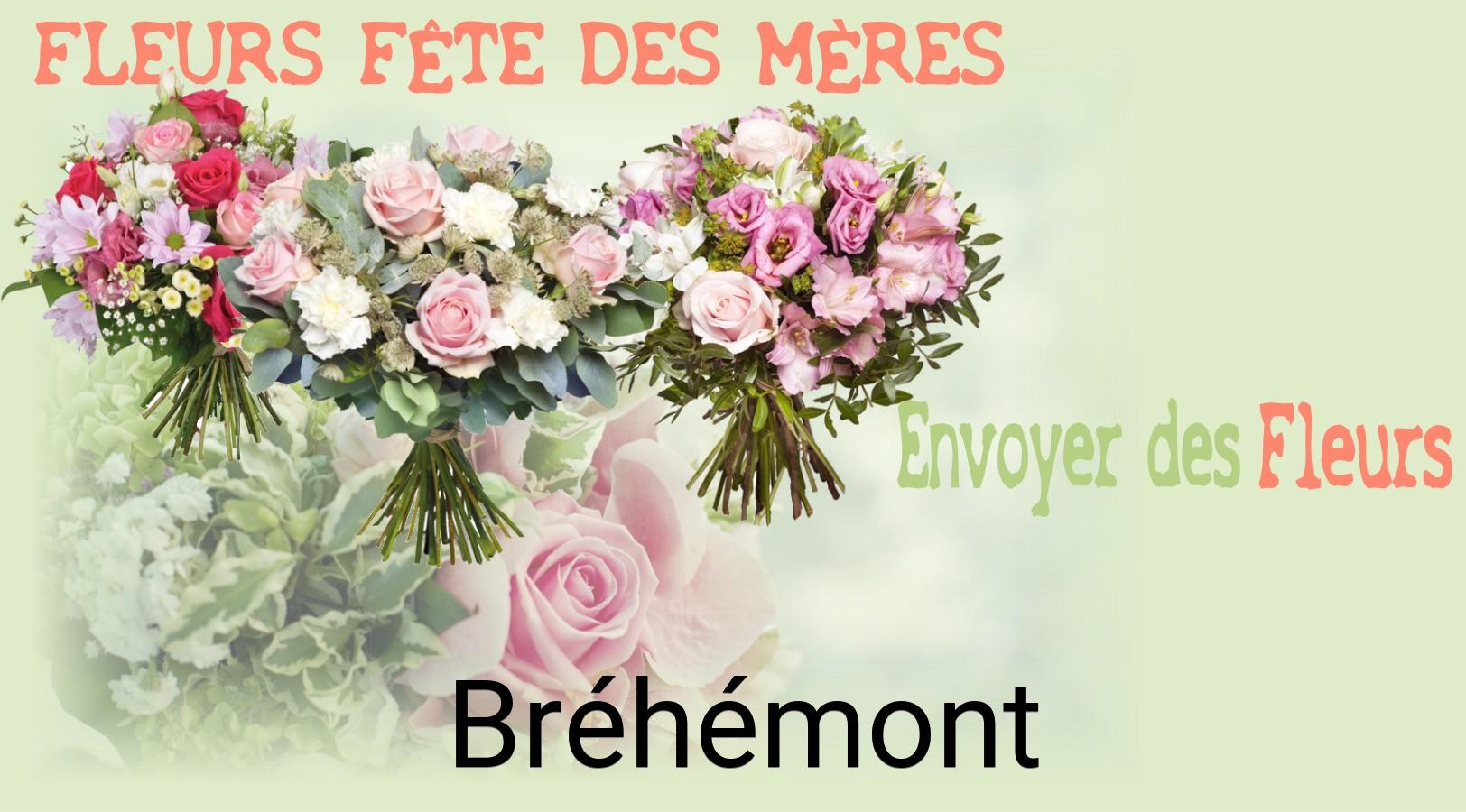 Bouquet de Fête des Mères livré à Bréhémont